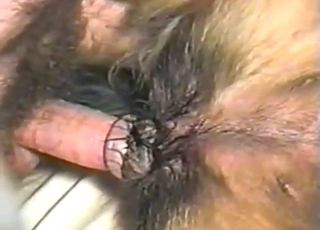 Amazing close-ups with a sexy beast