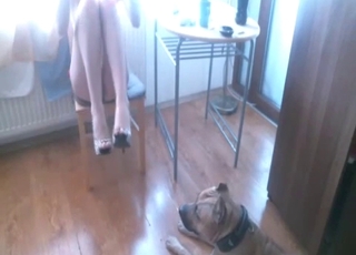 Slender angel with long legs fucked by her doggy