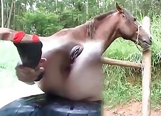 Sexy stallion nicely tears up a wide-opened pussy