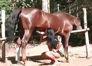 The big dick of a handsome mare gets orally pleased