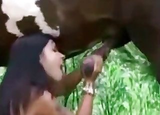 Good blowjob for a sexy brown stallion
