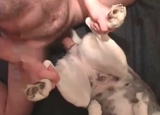 Impressive bestiality with a submissive dog
