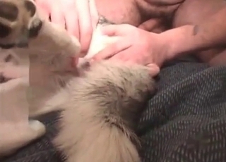 Impressive bestiality with a submissive dog
