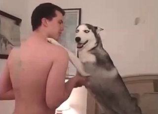 Impressive bestiality with a submissive dog