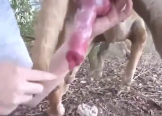 Aspiring zoophile wants to work ALL over that dick