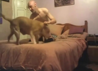 Special sex scene with a bald fucker and dogs