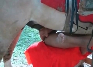 Leggy babe takes horse's huge cock