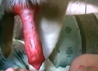 Young dog with a really beautiful cock