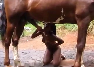Black whore is giving a blowjob to this hot stallion