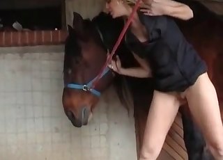 Cute horse gets to have his way with a trashy slut